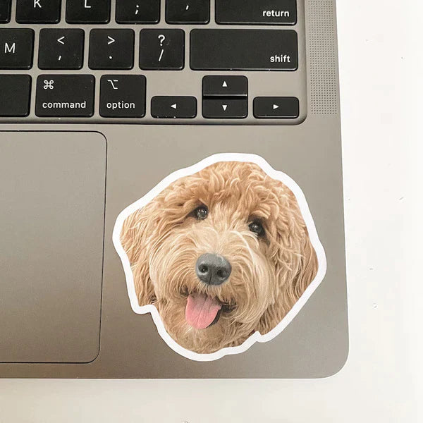 3x personalizovaná nálepka pre vášho domáceho miláčika